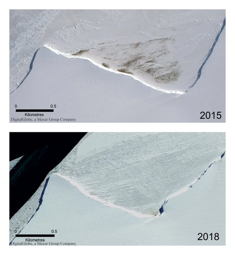 Keiserpingviinide koloonia asukoht 2015. aastal ja kolm aastat hiljem, mil koloonia oli juba hävinud.