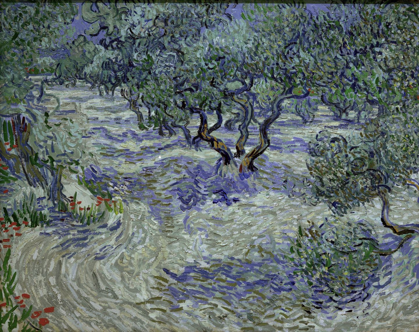 Vincent van Gogh «Oliivipuud»