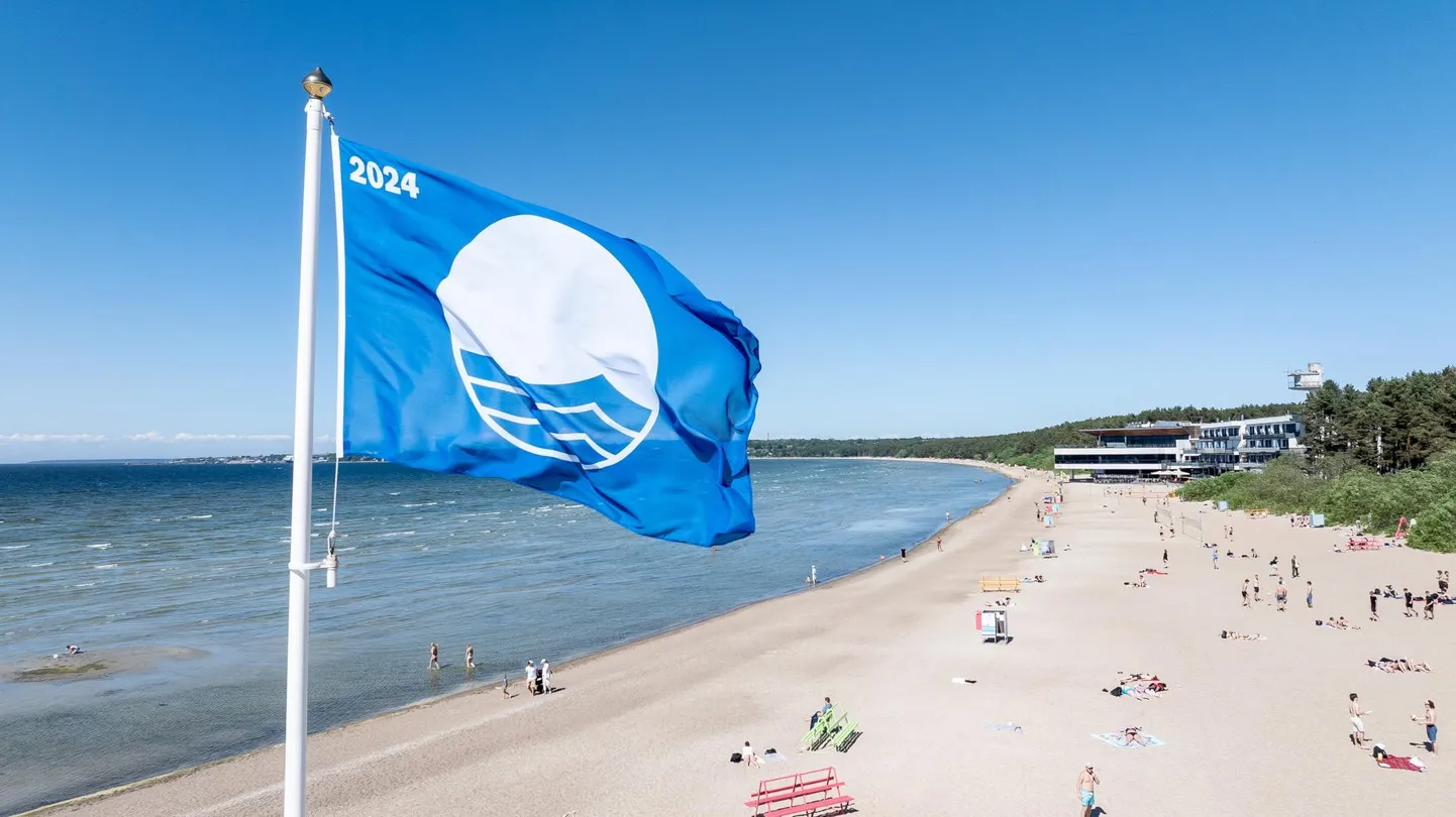 Üks Eesti kolmest sinilipust lehvib Pirita rannas.
