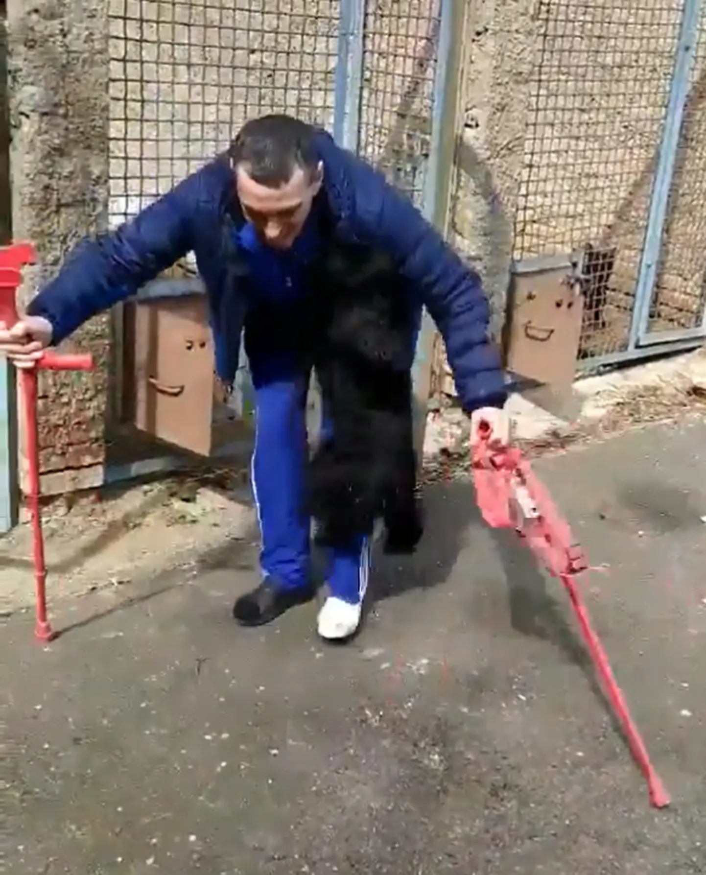 Vigastada saanud sõduri ja tema koera taaskohtumine.