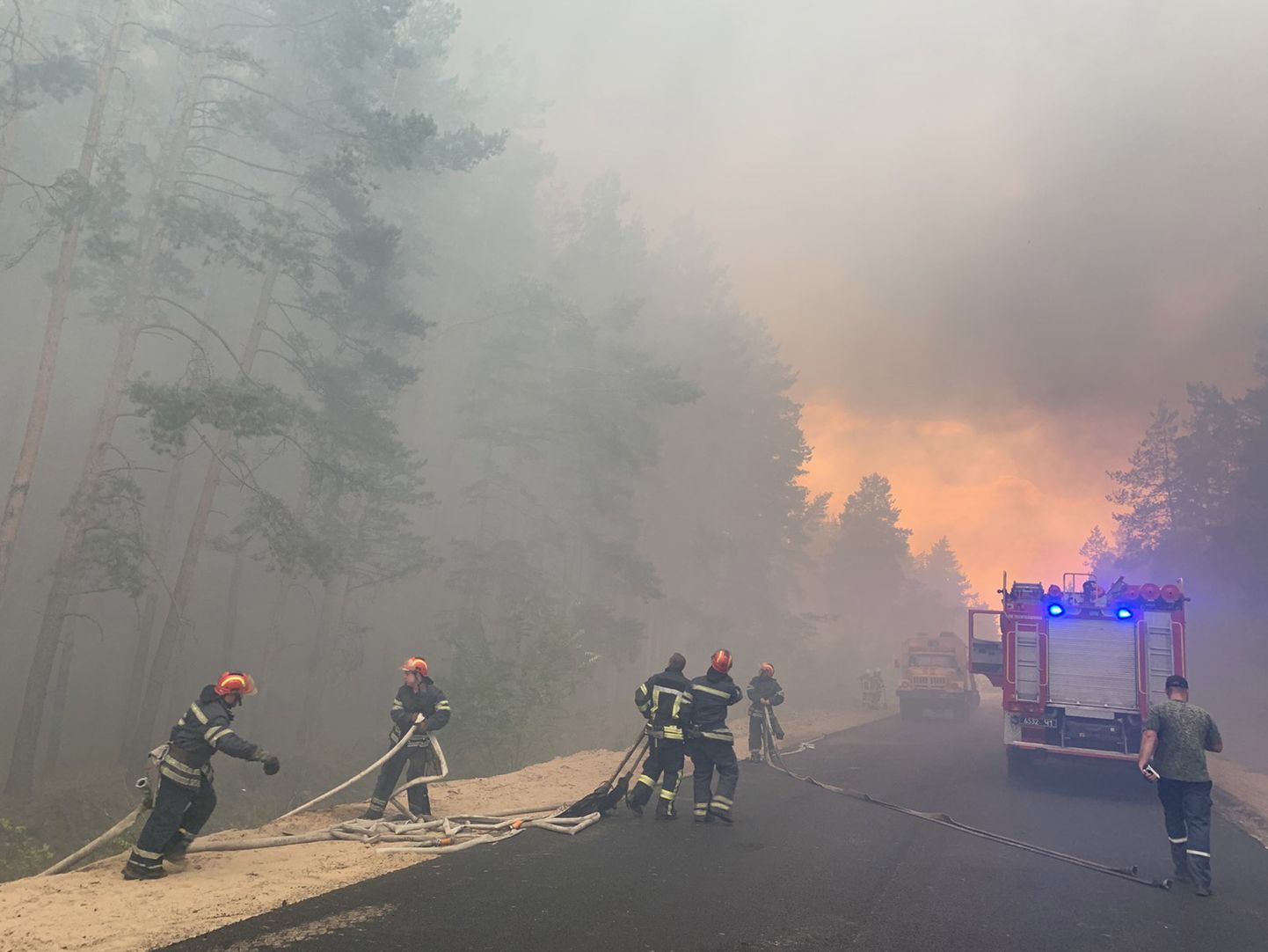 Ukraina tuletõrjujad metsapõlenguga võitlemas.