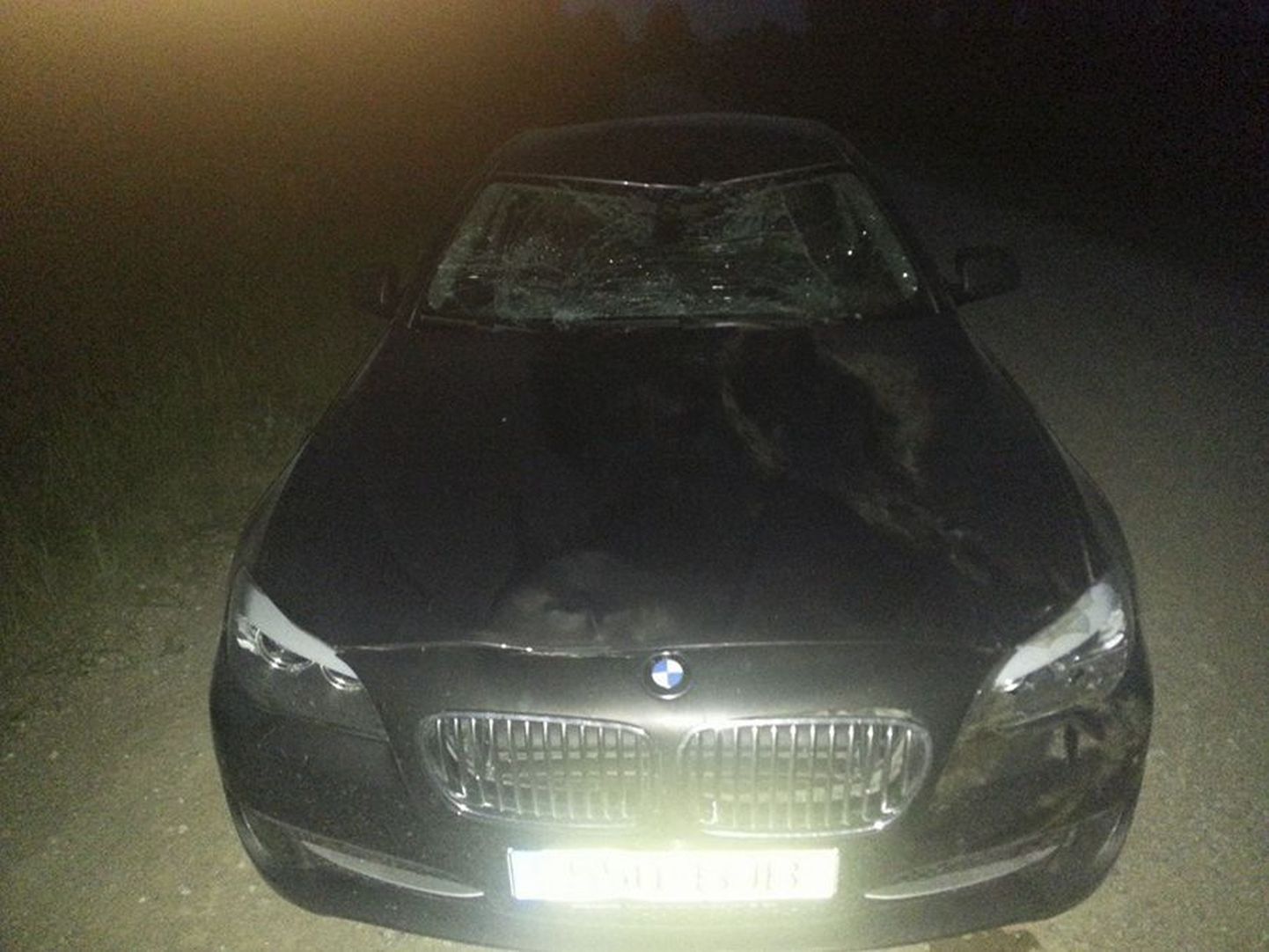 Priit Toobali kasutada olev BMW 520 sai kokkupõrkel põdraga tugevalt kahjustada.