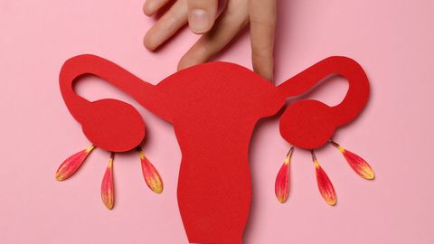 ÜLLATAV AVASTUS ⟩ Munasarjad saavad pärast menopausi «teise elu»