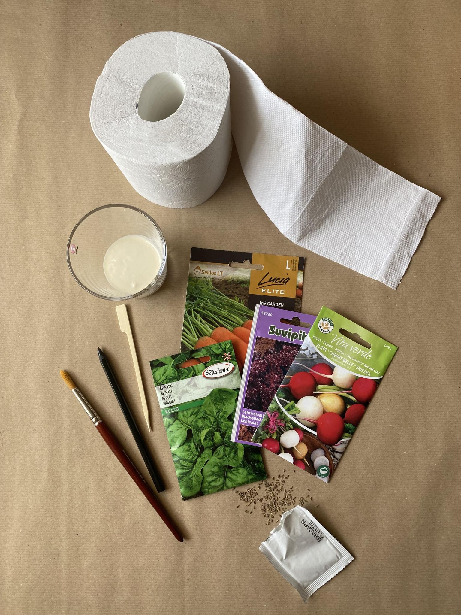 Seemnelindi valmistamiseks tarvilikud asjad: seemnepakid, tualettpaber, jahuliim, pintsel. 