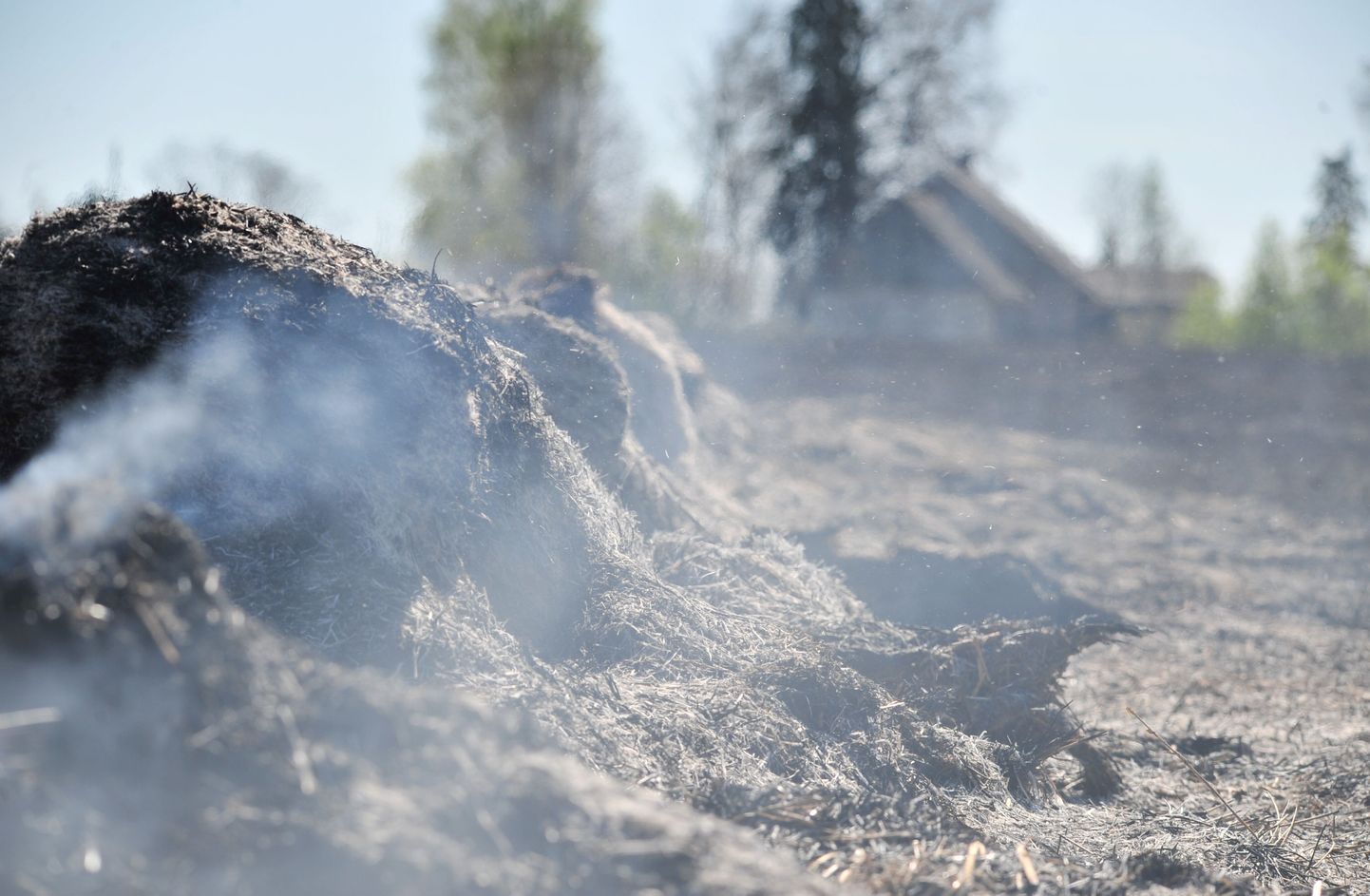 AIa- ja haljastujäätmete põletamine on Tallinnas karmilt keelatud.