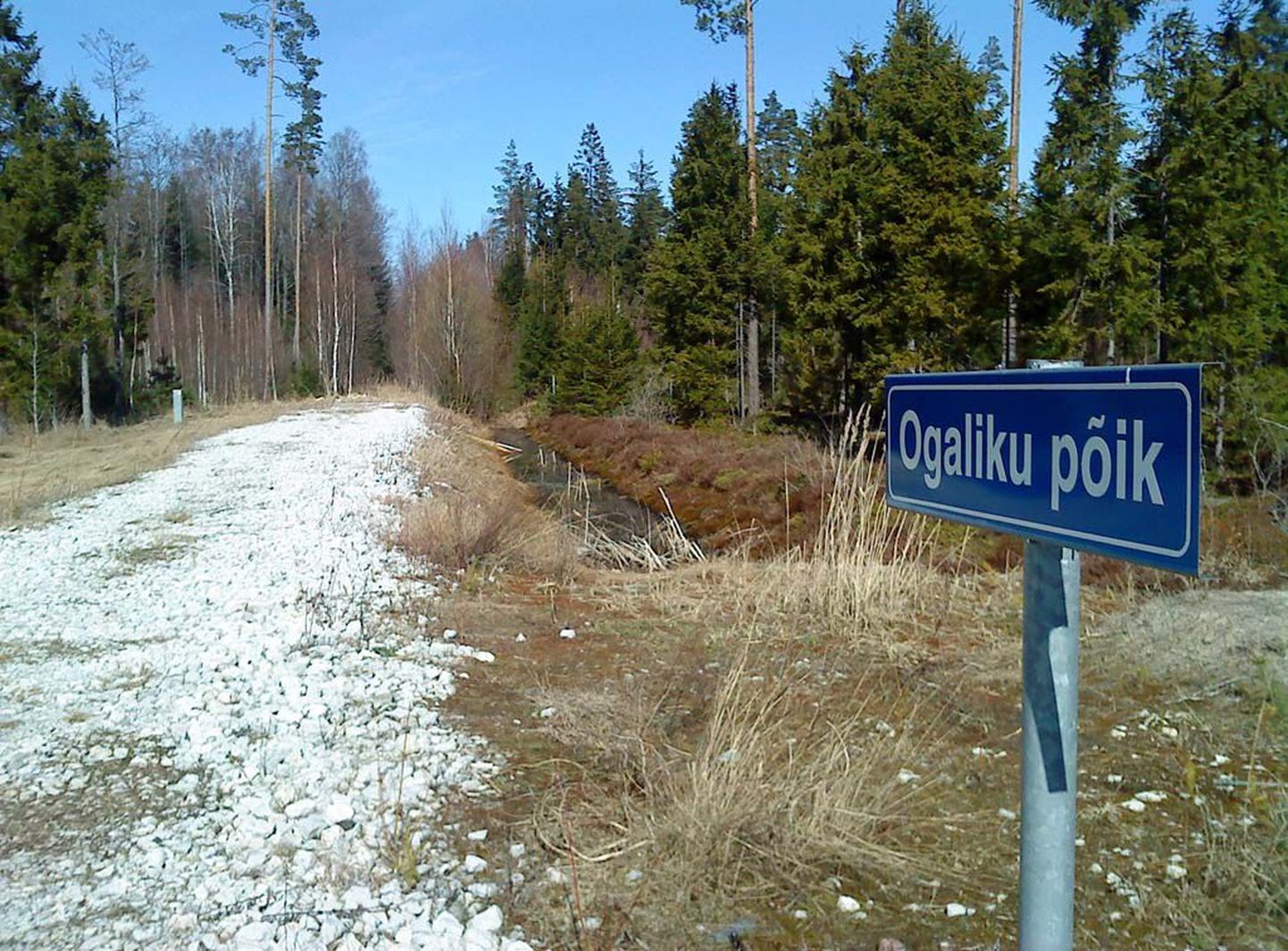 Pärnumaal Paikuse vallas Silla külas Ogaliku põigus vedeleb metsa all sinna vargsi toodud prügikoorem.