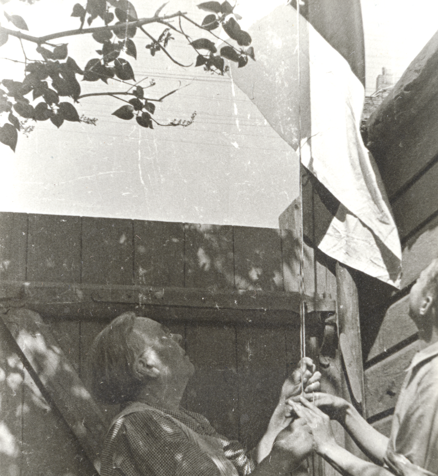 Sinimustvalge lipu heiskamine juulis 1941 Pärnus