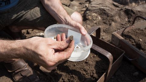 Ученые выяснили откуда завозили стеклянную посуду в средневековую Эстонию
