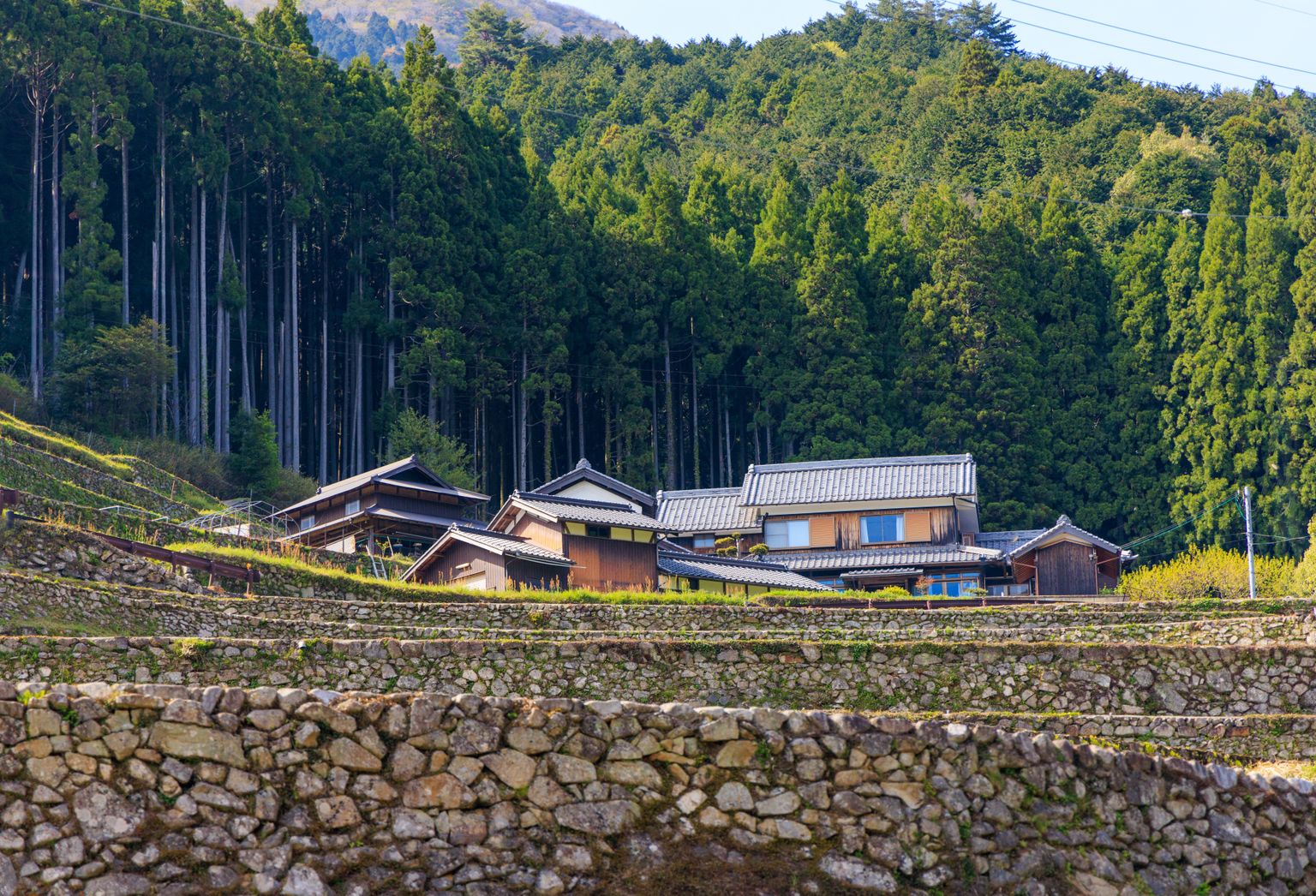 Заброшенный дом в Японии. Иллюстративное фото