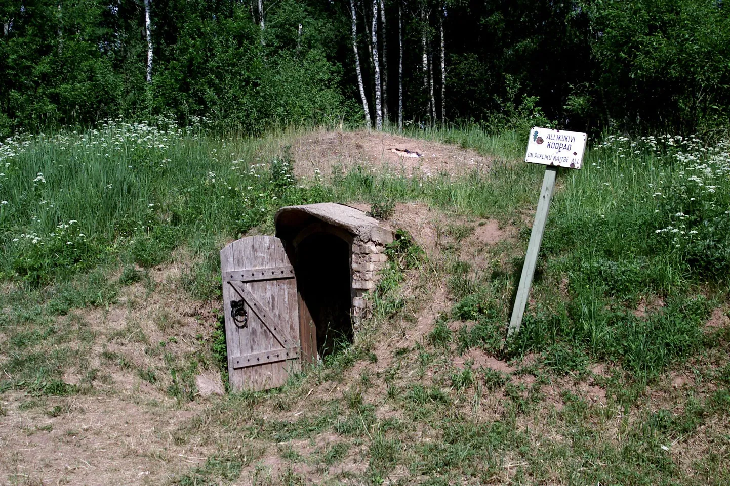 Sissepääs Allikukivi koobastesse.
