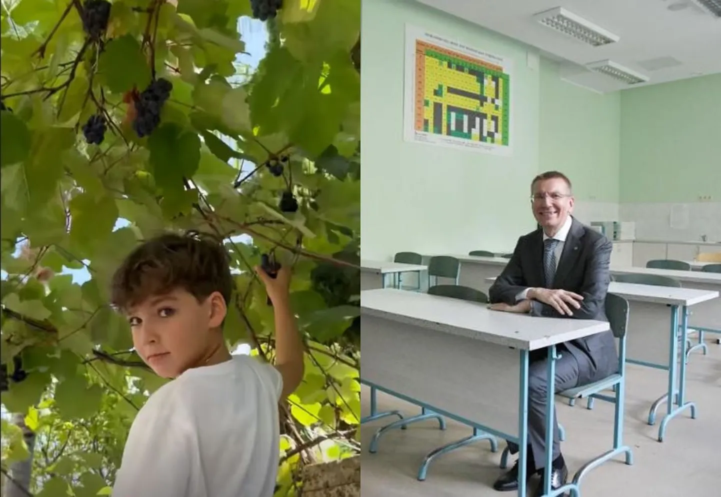 Фото статьи