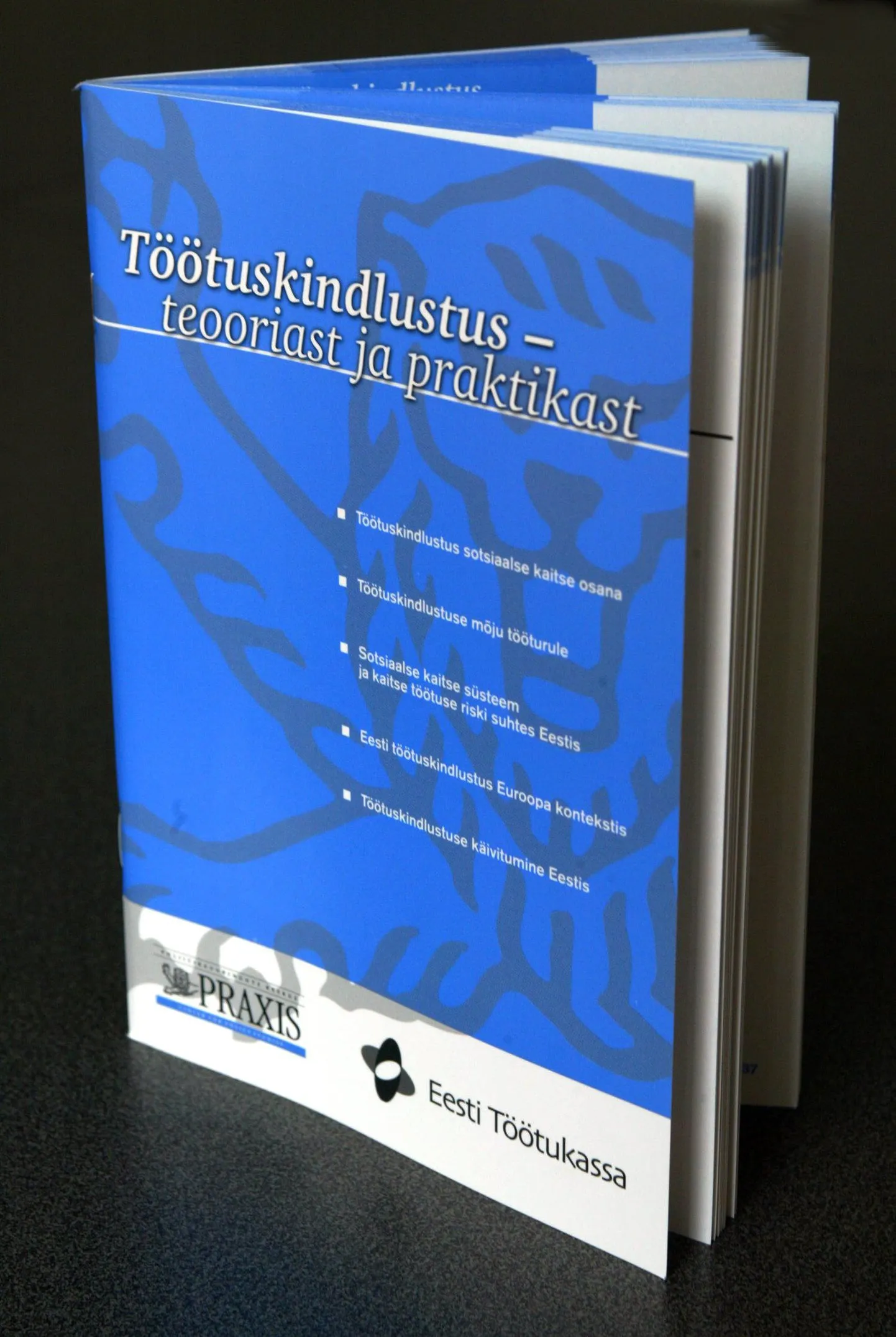 Raamat töötuskindlustusest.