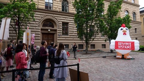 Saeima noraida piedāvājumu aizliegt dējējvistu turēšanu spro