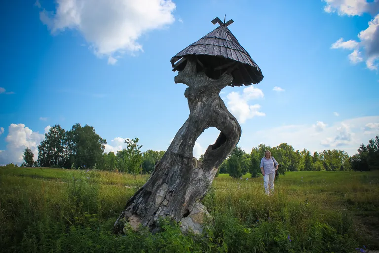 Kalnaziedu Upurozols.