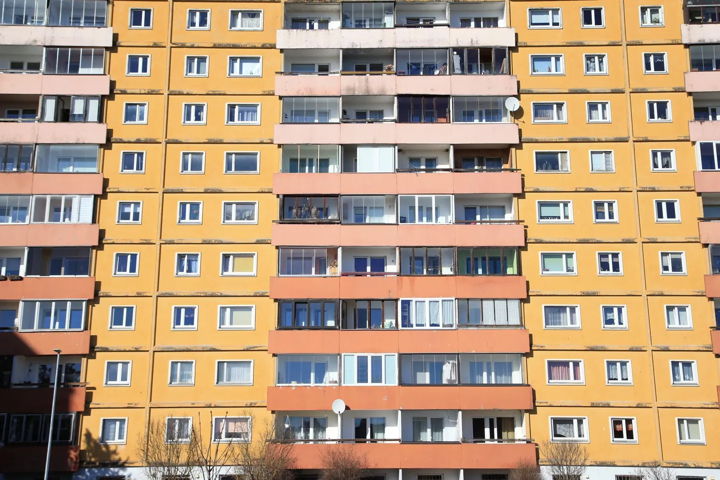 Kinnisvara hinnad tõusevad veelgi.