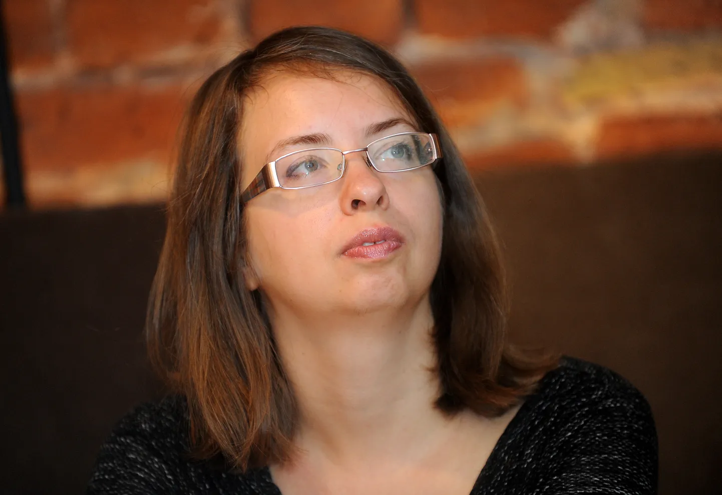 Sabiedriskās politikas centra "Providus" pētniece Iveta Kažoka