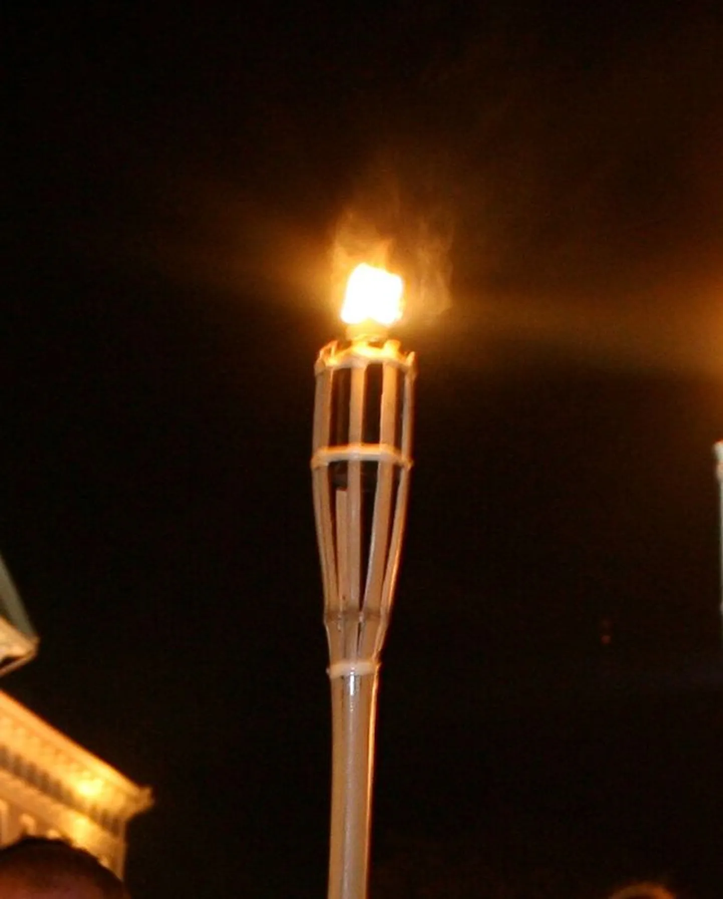 Artikli foto
