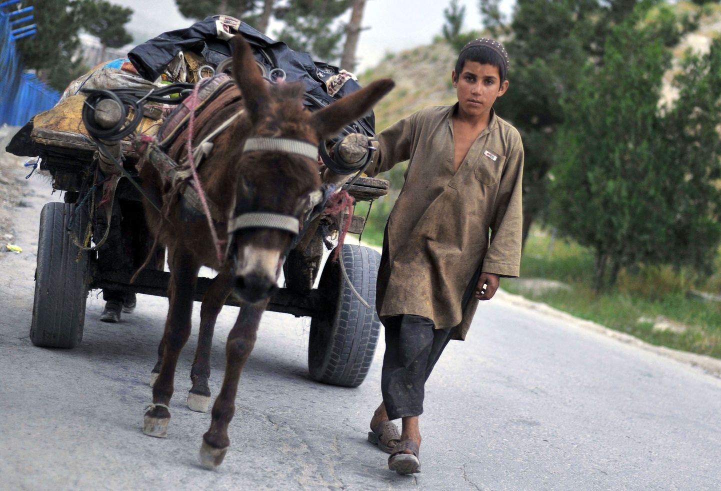 Afgaani poiss eesliga Kabuli tänaval.
