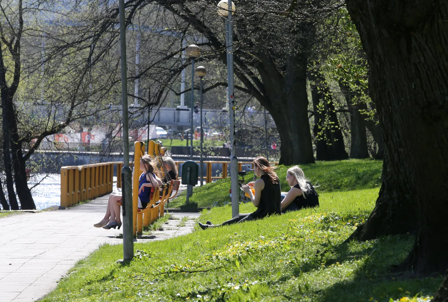 Фото статьи