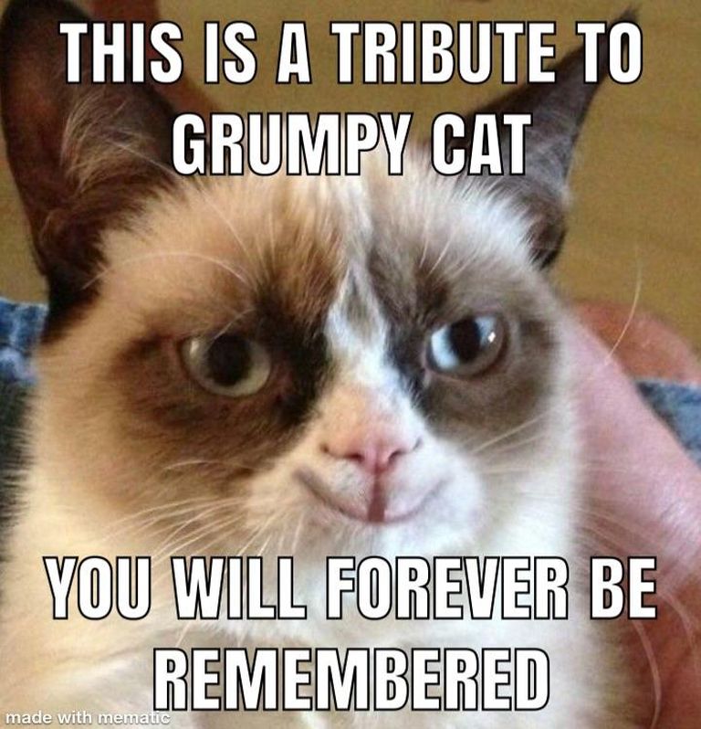 Grumpy Cat hüvastijätu meme