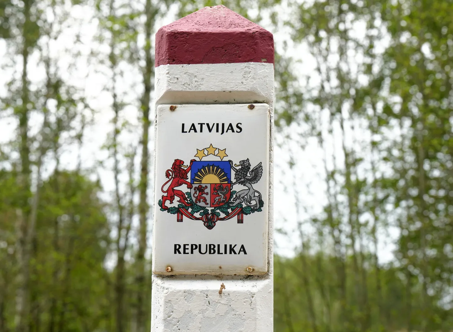 Raksta foto