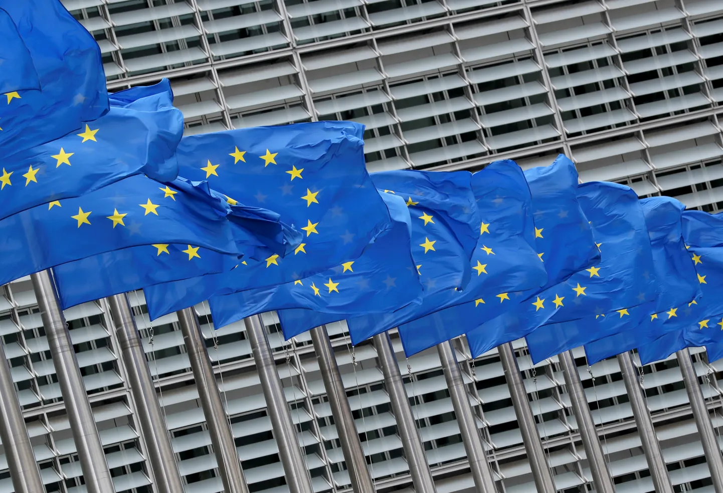 Euroopa Liidu lipud.