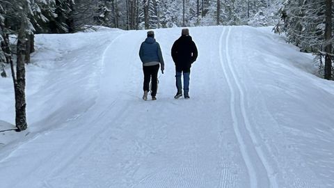 Трассы раздора: лыжники рассвирепели из-за любителей прогуляться по лыжне