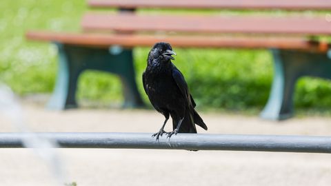 Arī ceturtdien gaidāmas stipras vēja brāzmas