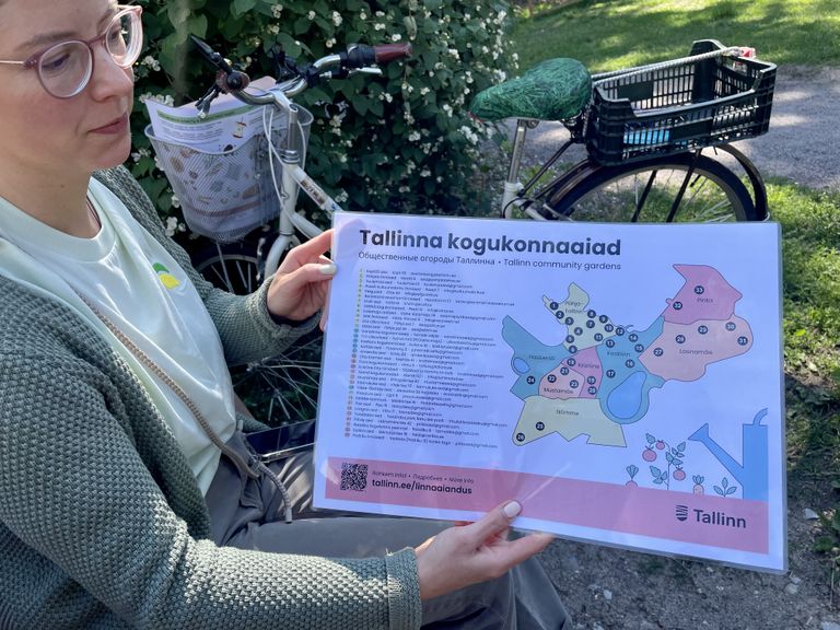 Мария Дерлыш с картой общественных огородов Таллинна.