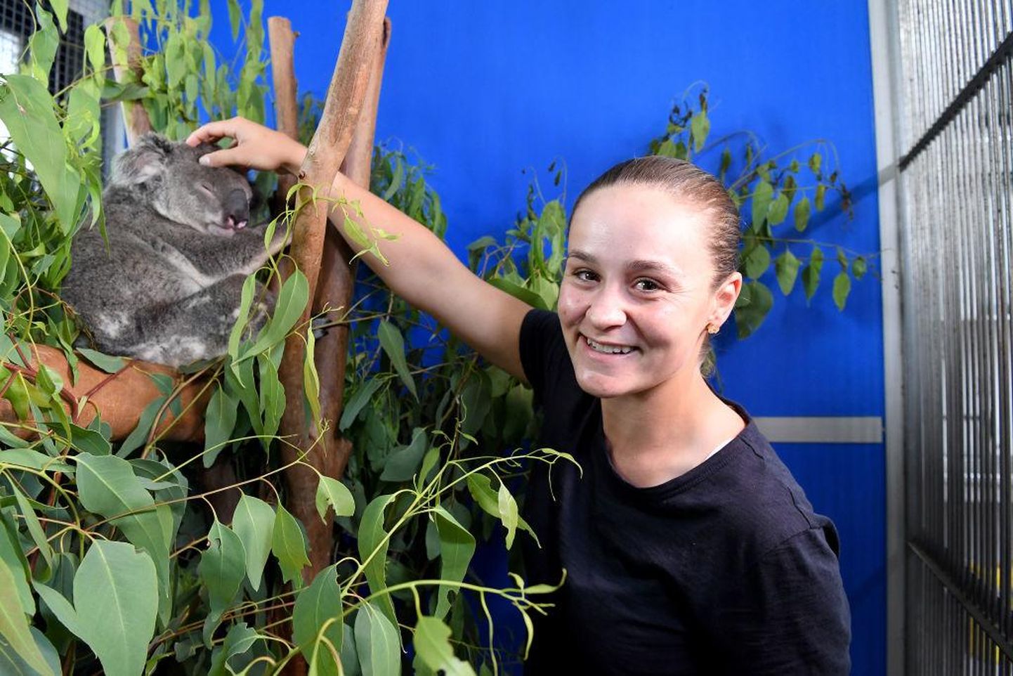 Maailma parim naistennisist Ashleigh Barty loovutas mõne aja eest Austraalia loomakaitsjatele 30 000 dollarit.