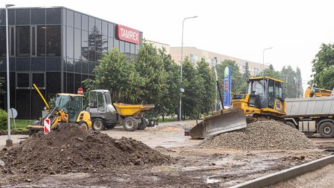 GALERII ⟩ Rakvere Tuleviku tänava elurikkuse haljasala kolib pärast remonti Linnuriigi piirkonda