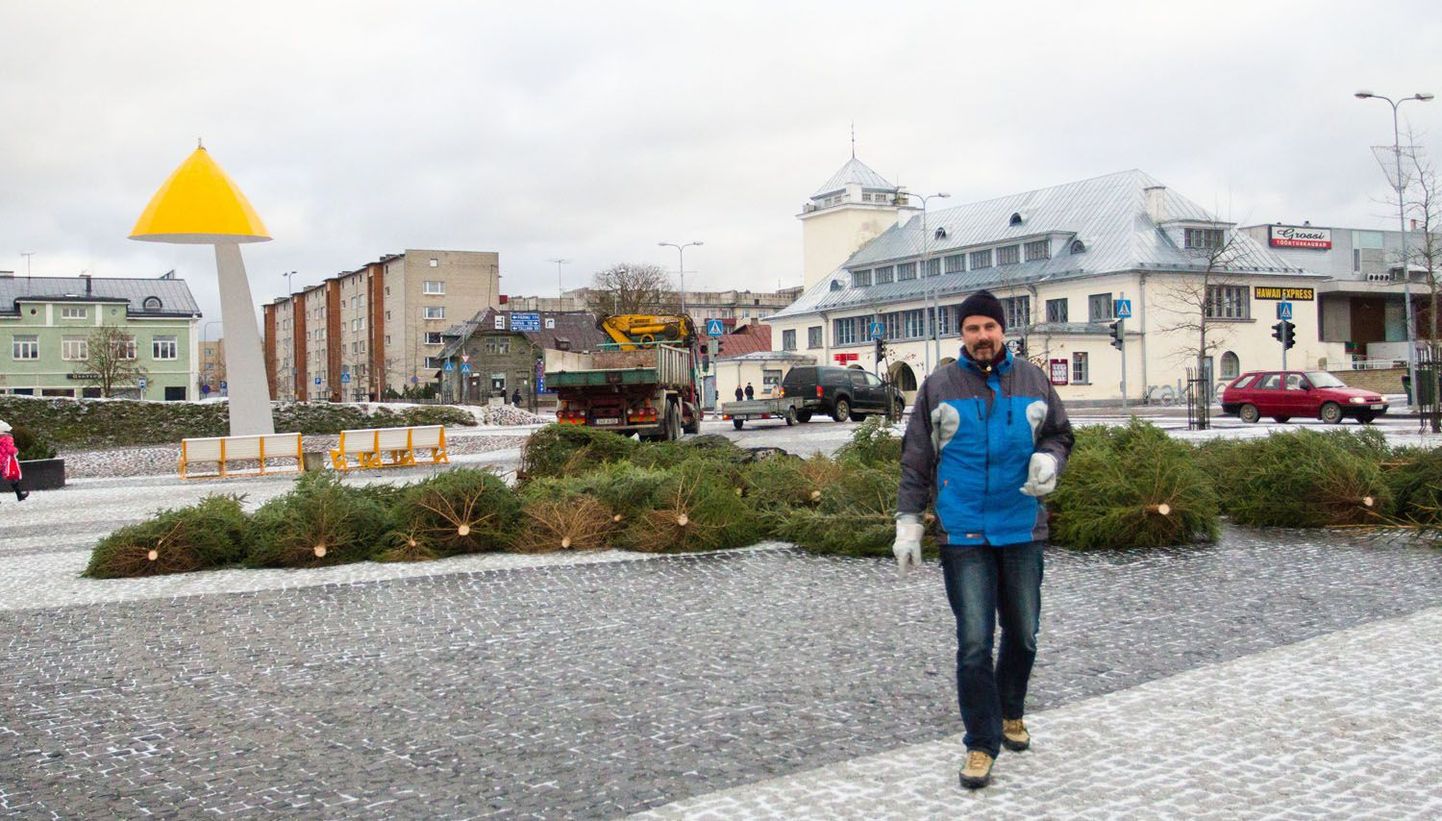 Rakvere linnakunstnik Teet Suur asub Turuplatsile kuusesalu püstitama.