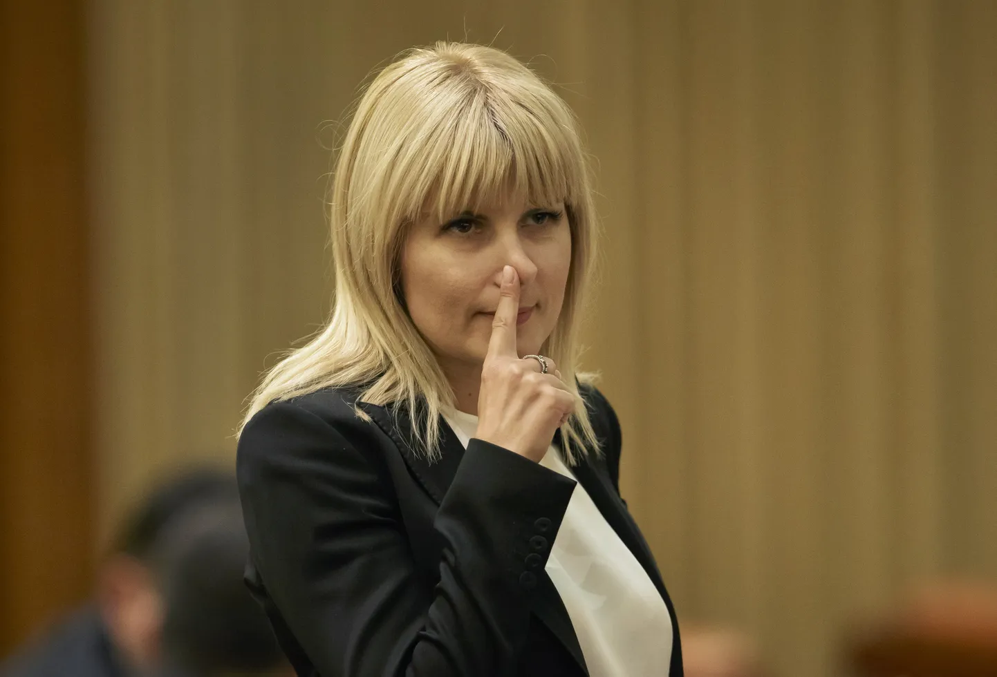 Bijusī Rumānijas ministre Elena Udrea