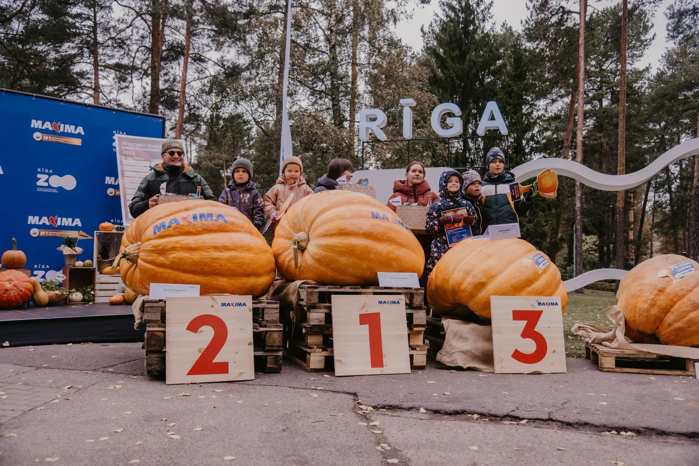 В Латвии определили 10 самых больших тыкв