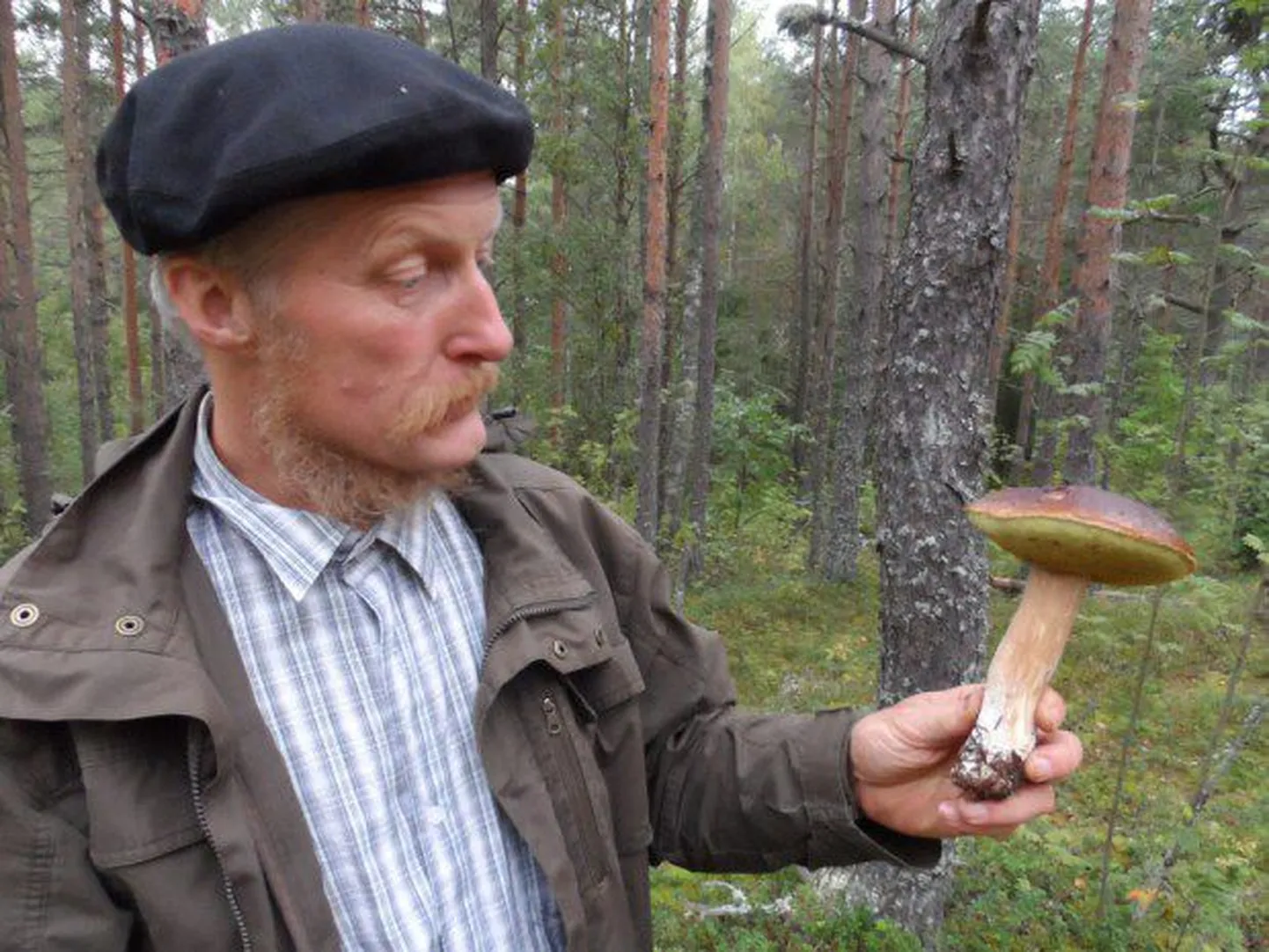 Tõnu Ploompuu rõõmustab suure kivipuraviku üle: «Ta on natuke pähklimaitsega.»
