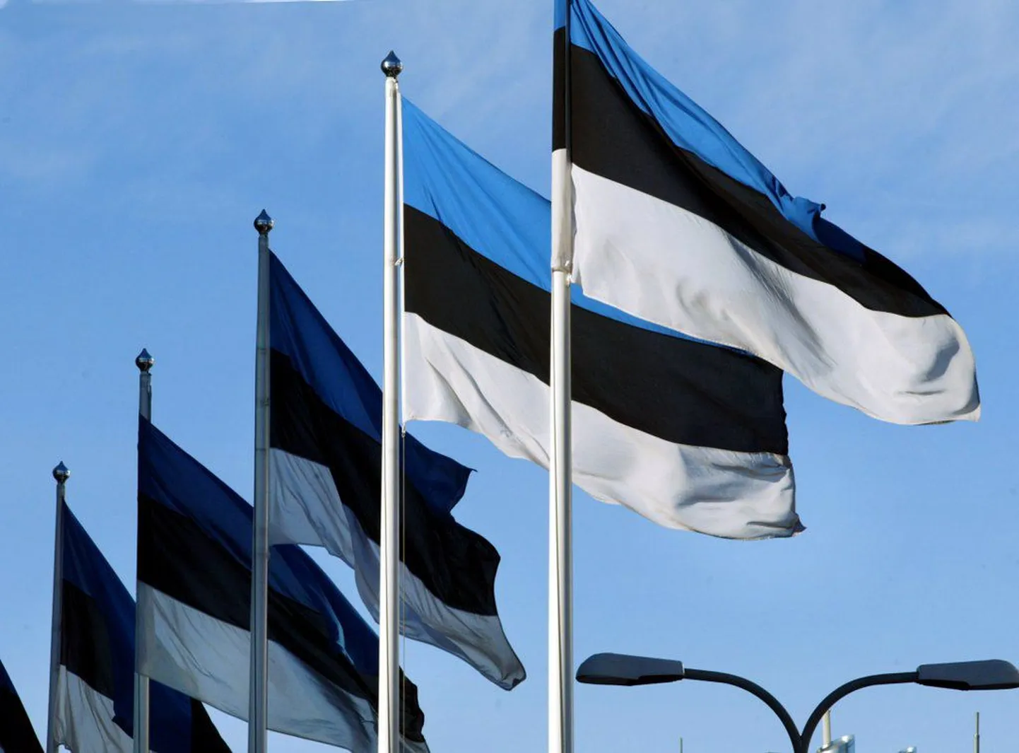 Eesti lipud