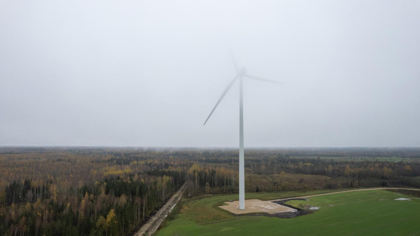 Kui majandusministeerium tahab riiki meelitada suuri tööstusettevõtteid, jääb maismaale kavandatud tuuleparkidest väheks, aga just neid eelistab kliimaministeerium. Pildil tuulepark Pärnumaal Saarde vallas.
