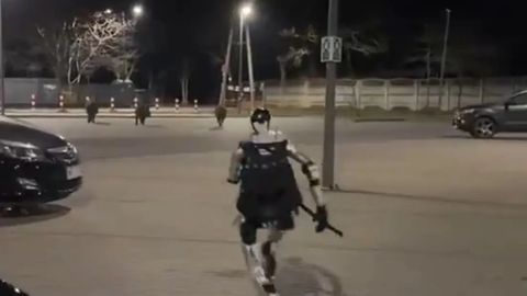 ULME POOLA TÄNAVATEL ⟩ Robot ajab metssigu taga ja on saanud üleöö netistaariks