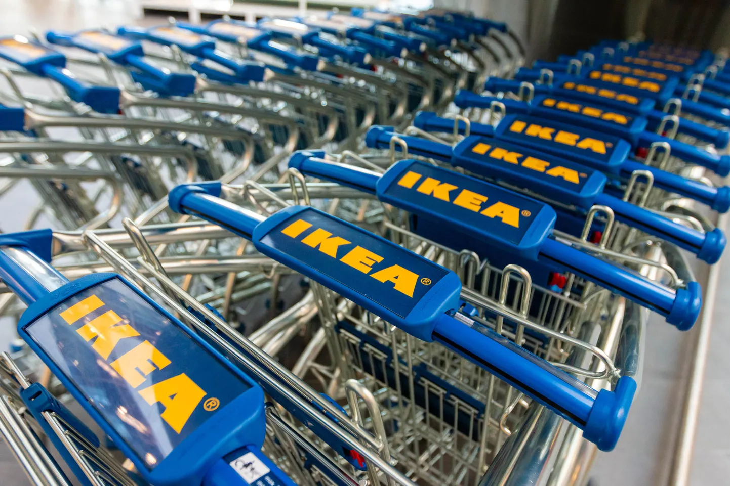 Ikea в Риге.