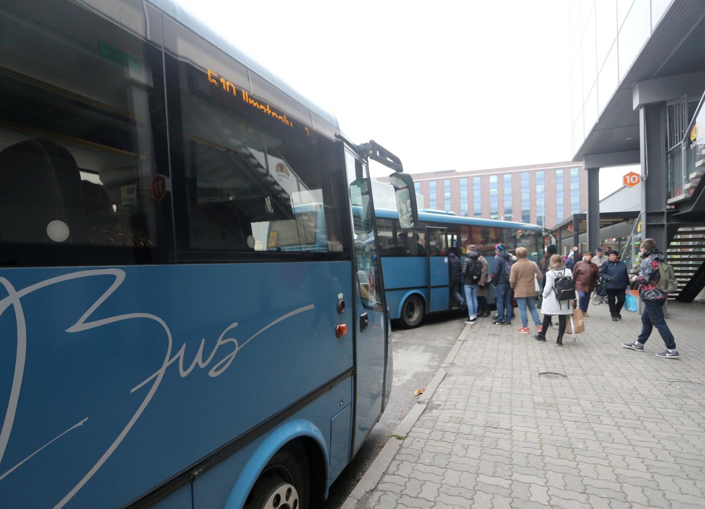 Автобусы GoBus на автовокзале Тарту. Фото носит иллюстративный характер.