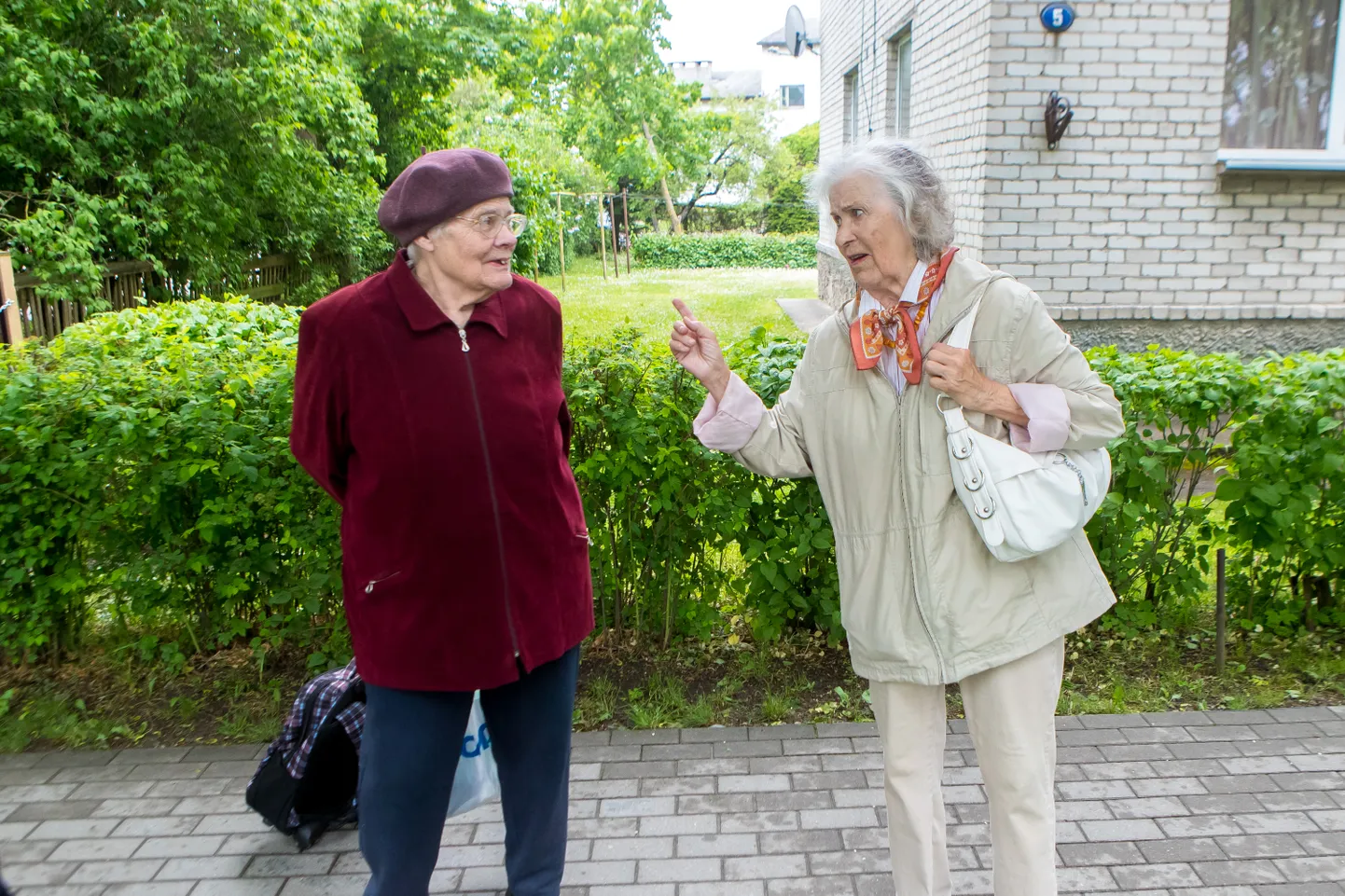 SILVI JA AINO loodavad, et vareste terror ükskord taas lõpeb.