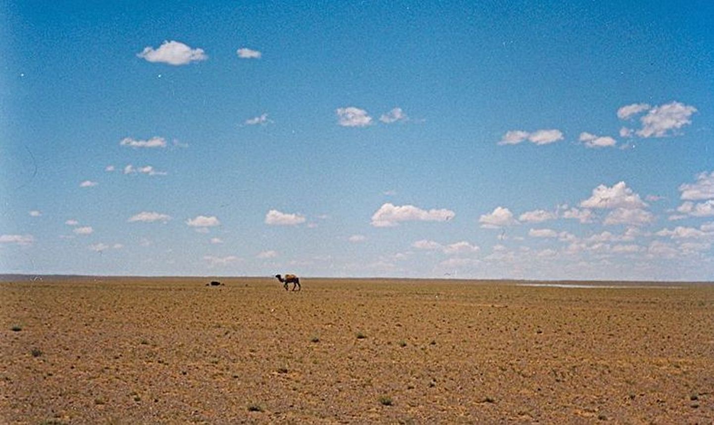Gobi kõrb Mongoolia Ömnögovi provintsi alal