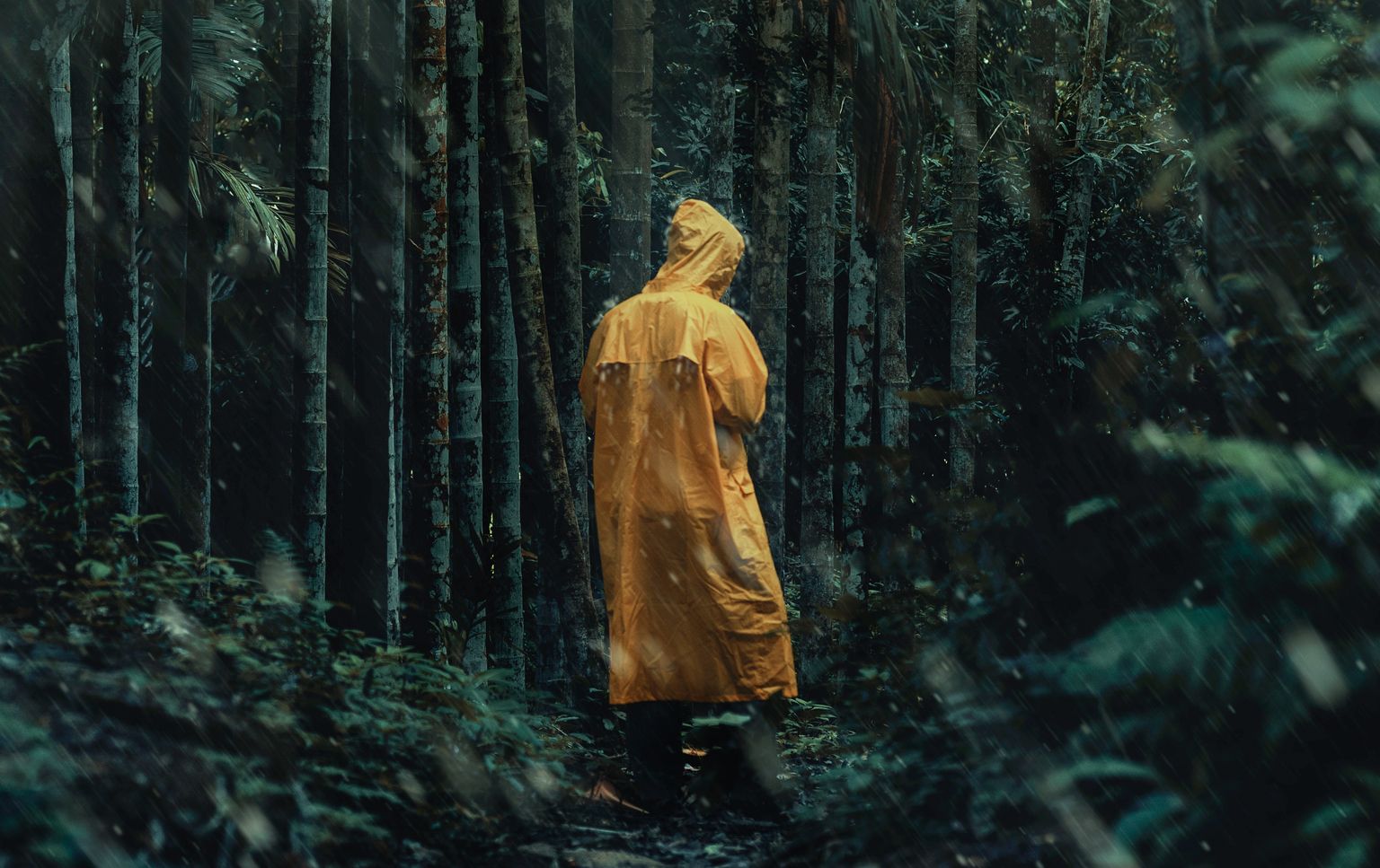 Человек в лесу. Иллюстративное фото