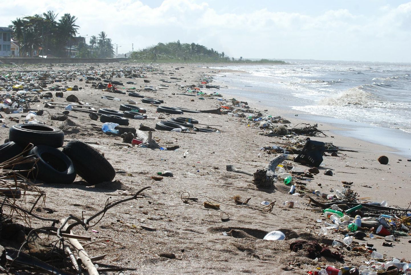 Reostus, kliimasoojenemine ja elurikkuse kadu on globaalse mitmikkriisi erinevad tahud. Prügi täis rannik Guyanas.