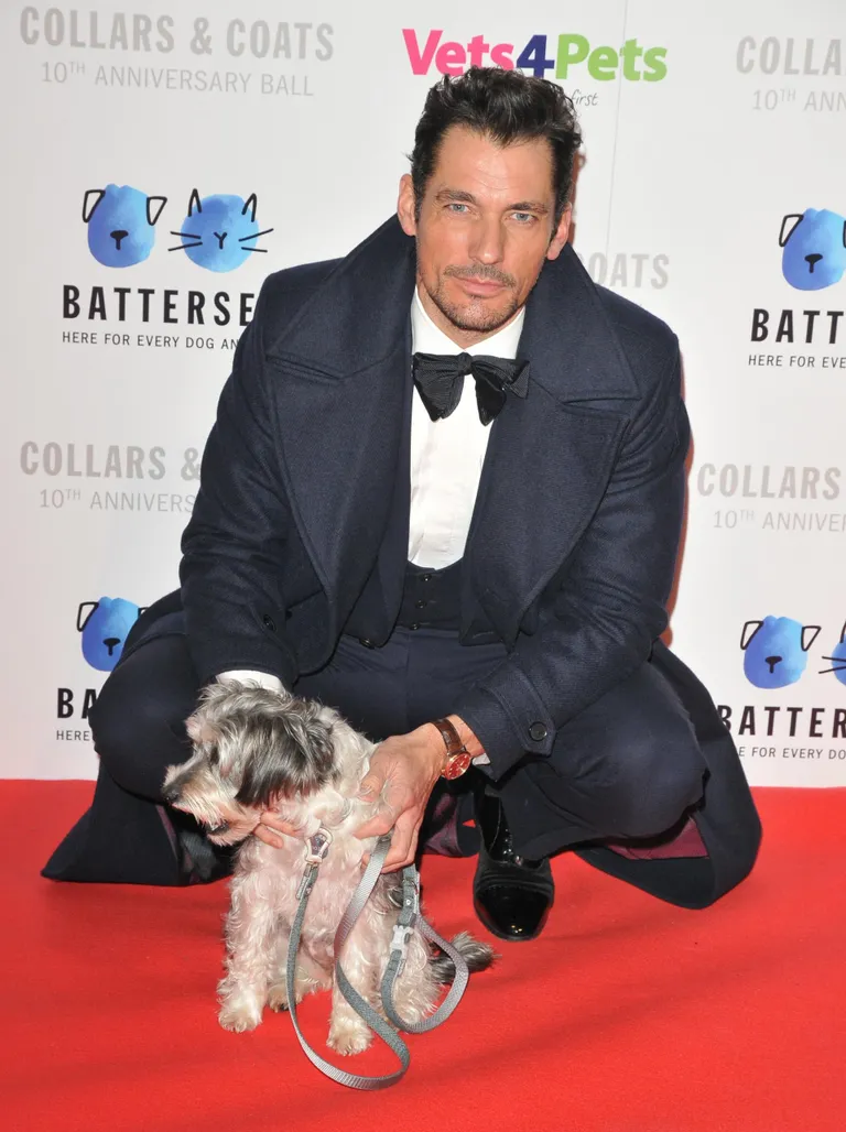 David Gandy on üks parimaid eeskujusid kinnitamaks, et hea rätsepakunst toob alati stiilipunkte.