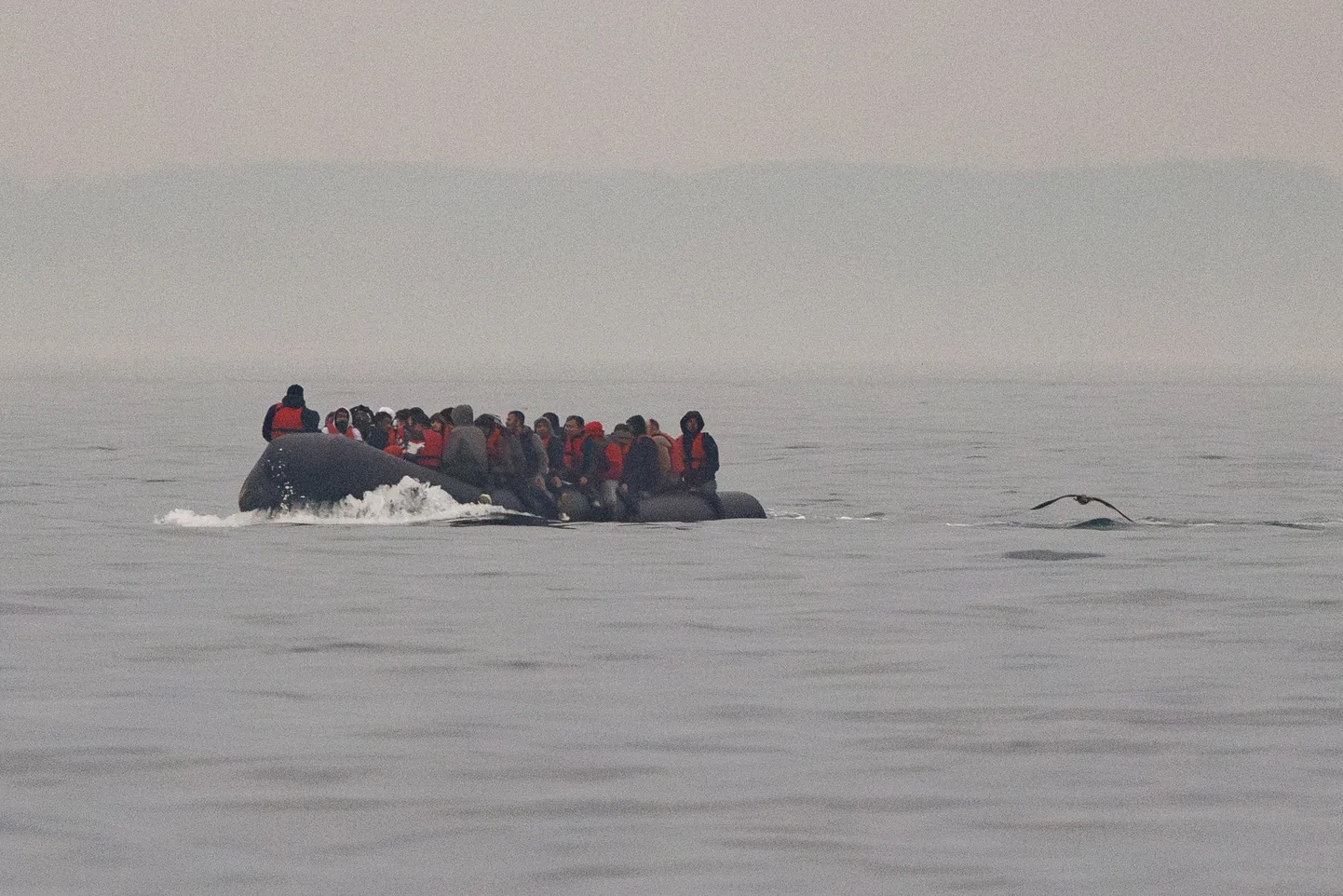Migrandid ületamas paadiga La Manche'i väina.