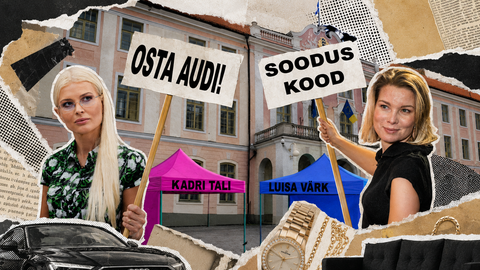 Riigikogu liikmed kaitsevad enda osalemist ehete, mööbli- ja autoreklaamides