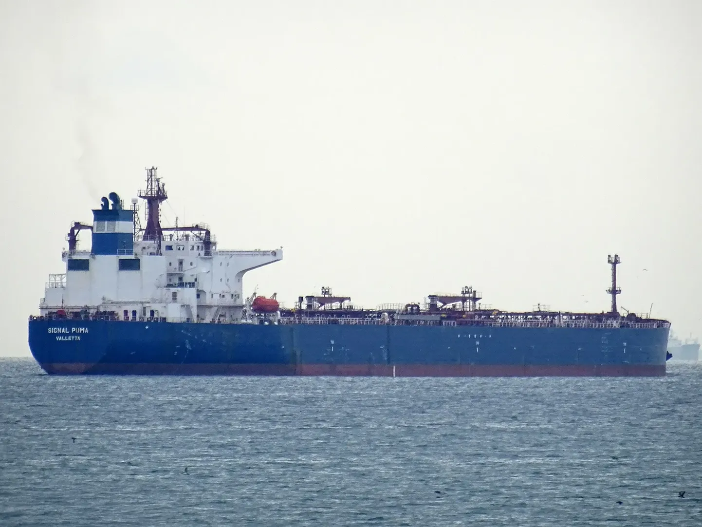 The tanker that Estonian authorities tried to detain in the Baltic Sea is a textbook shadow-fleet vessel with a dubious background and unknown owners. Photo: MarineTraffic