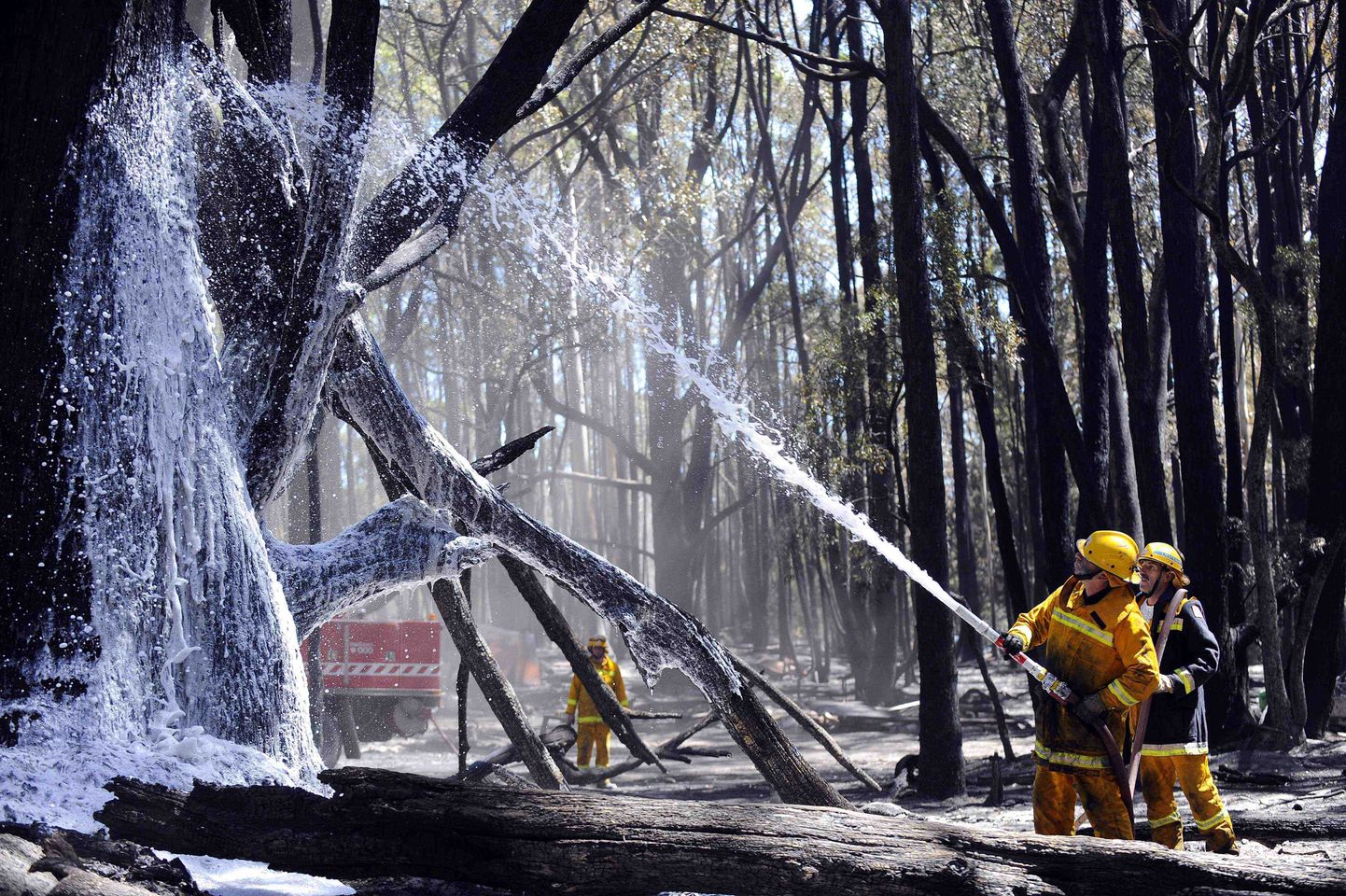 Austraalia lõunaosas maastikupõlengutega võitlevad tuletõrjujad.