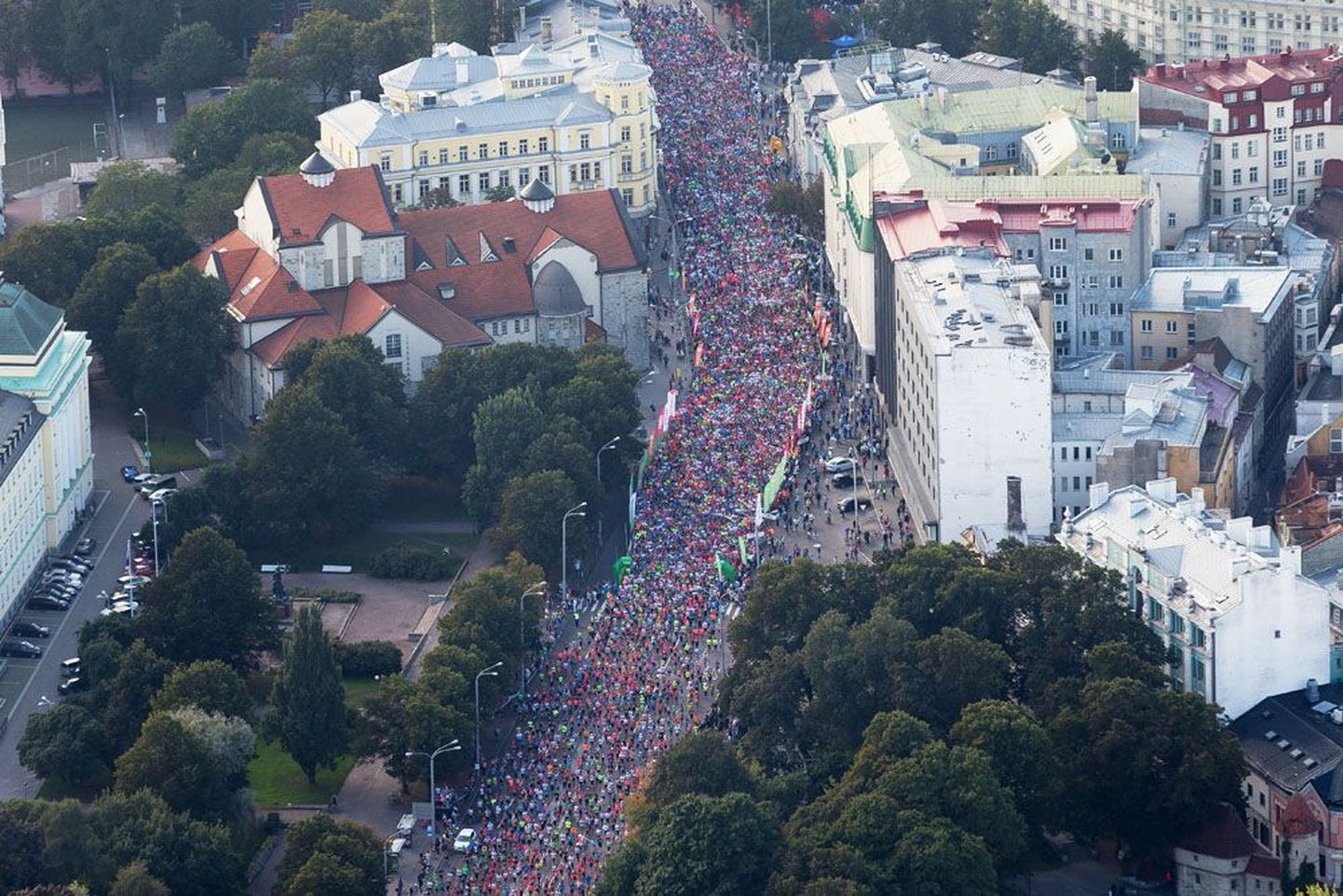 SEB Tallinna maratonist osavõtjad.